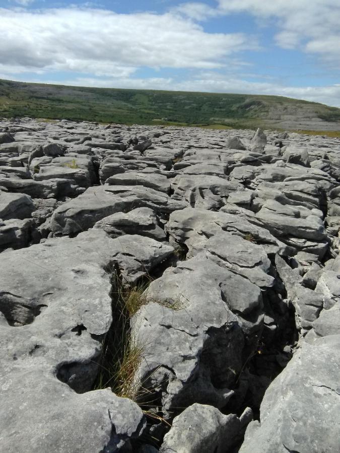 Burren Rock Farmhouse B&B Turlough  Eksteriør billede