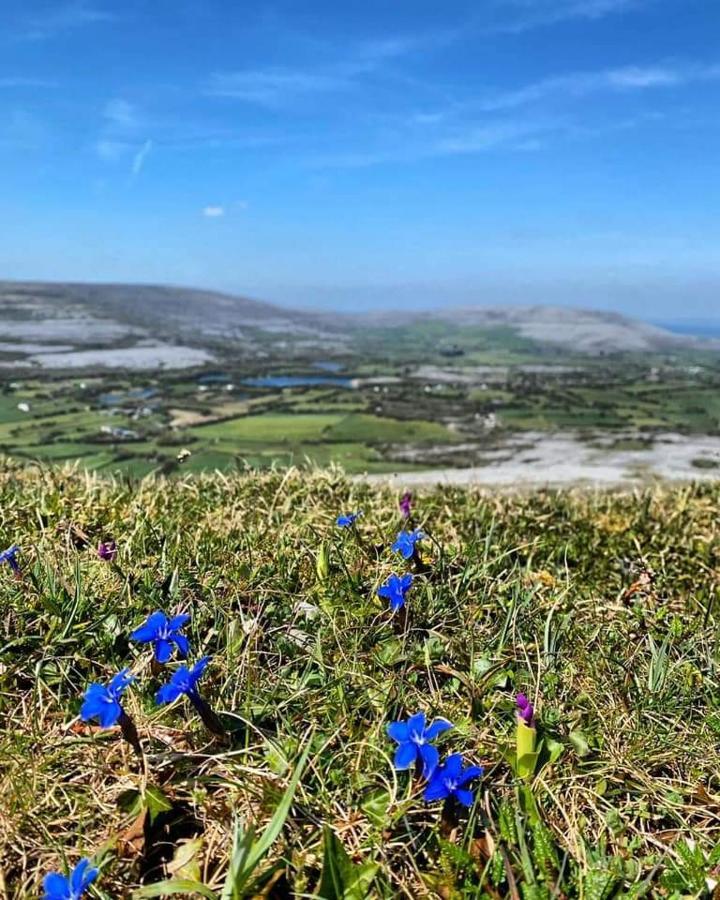 Burren Rock Farmhouse B&B Turlough  Eksteriør billede